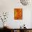 Orange Gerbera Daisy-Clive Nichols-Photographic Print displayed on a wall