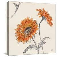 Orange Gerbera II-Chris Paschke-Stretched Canvas