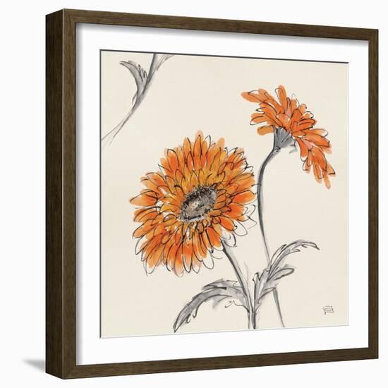 Orange Gerbera II-Chris Paschke-Framed Art Print