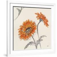 Orange Gerbera II-Chris Paschke-Framed Art Print