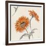 Orange Gerbera II-Chris Paschke-Framed Art Print