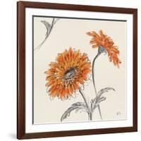 Orange Gerbera II-Chris Paschke-Framed Art Print