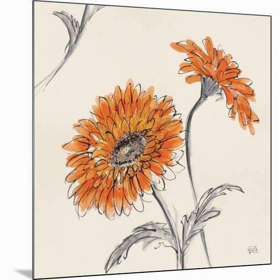 Orange Gerbera II-Chris Paschke-Mounted Art Print