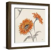 Orange Gerbera II-Chris Paschke-Framed Art Print