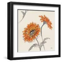 Orange Gerbera II-Chris Paschke-Framed Art Print