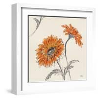 Orange Gerbera II-Chris Paschke-Framed Art Print