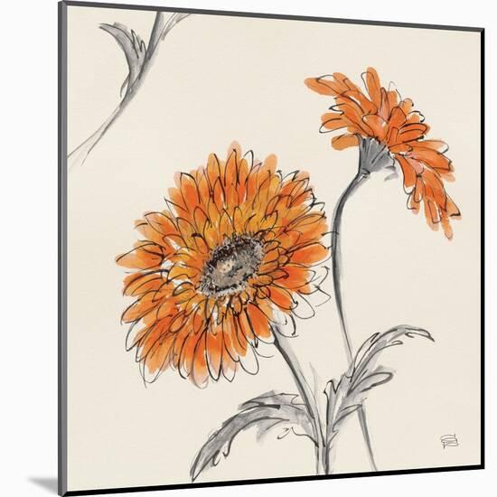 Orange Gerbera II-Chris Paschke-Mounted Art Print