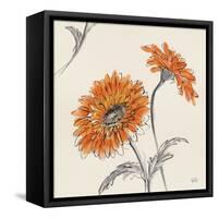 Orange Gerbera II-Chris Paschke-Framed Stretched Canvas