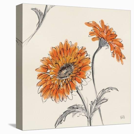 Orange Gerbera II-Chris Paschke-Stretched Canvas