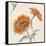 Orange Gerbera II-Chris Paschke-Framed Stretched Canvas