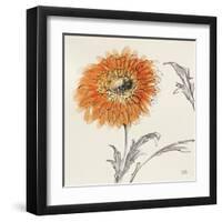 Orange Gerbera III-Chris Paschke-Framed Art Print