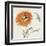 Orange Gerbera III-Chris Paschke-Framed Art Print