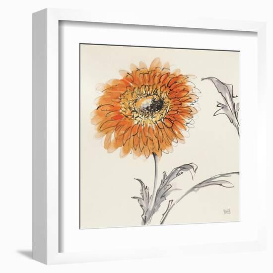 Orange Gerbera III-Chris Paschke-Framed Art Print