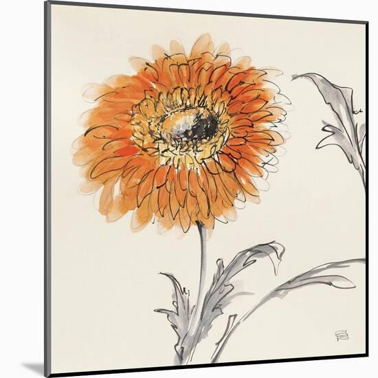 Orange Gerbera III-Chris Paschke-Mounted Art Print