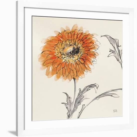 Orange Gerbera III-Chris Paschke-Framed Art Print