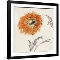 Orange Gerbera III-Chris Paschke-Framed Art Print