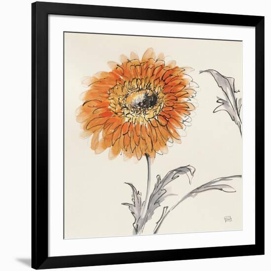 Orange Gerbera III-Chris Paschke-Framed Art Print