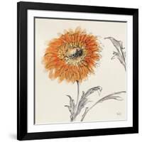 Orange Gerbera III-Chris Paschke-Framed Art Print