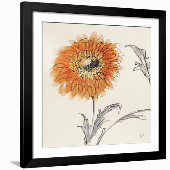 Orange Gerbera III-Chris Paschke-Framed Art Print