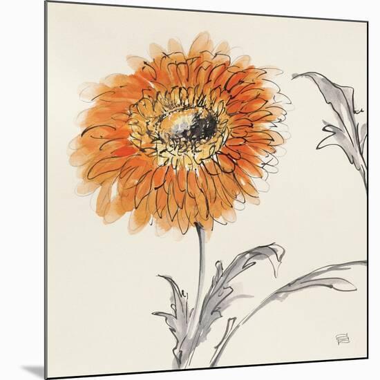 Orange Gerbera III-Chris Paschke-Mounted Art Print