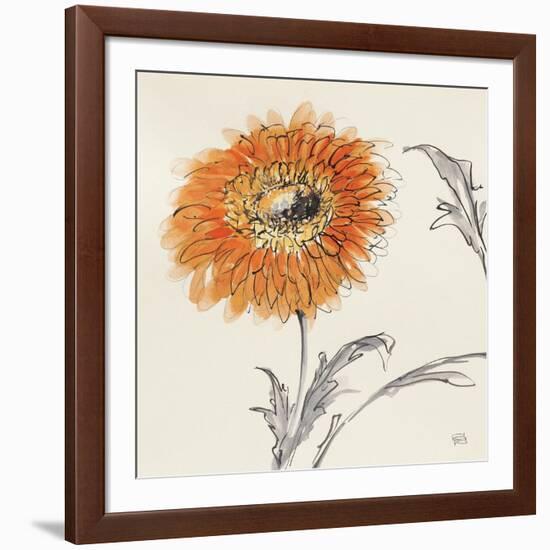 Orange Gerbera III-Chris Paschke-Framed Art Print