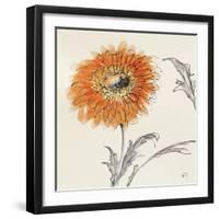 Orange Gerbera III-Chris Paschke-Framed Art Print