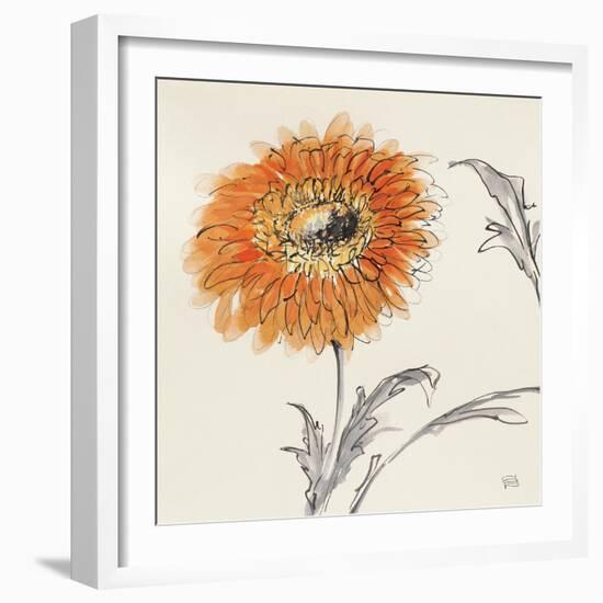 Orange Gerbera III-Chris Paschke-Framed Art Print