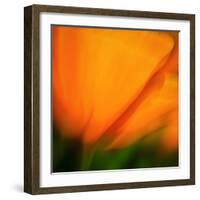 Orange Glory-Ursula Abresch-Framed Photographic Print