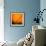 Orange Glory-Ursula Abresch-Framed Photographic Print displayed on a wall