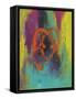 Orange Graffiti II-Joyce Combs-Framed Stretched Canvas