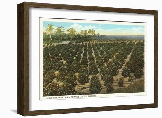 Orange Grove, Florida-null-Framed Art Print