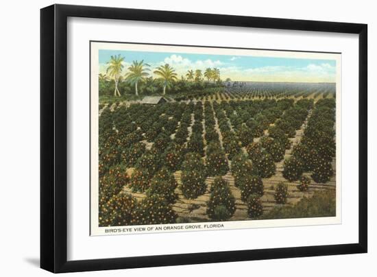 Orange Grove, Florida-null-Framed Art Print