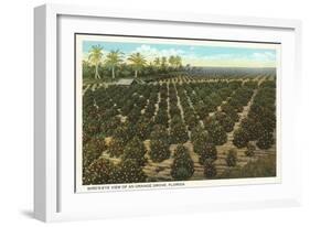 Orange Grove, Florida-null-Framed Art Print