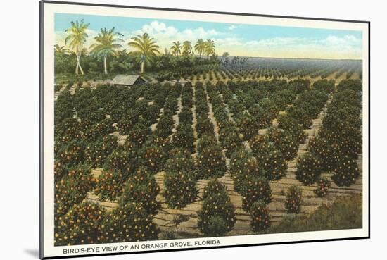 Orange Grove, Florida-null-Mounted Art Print