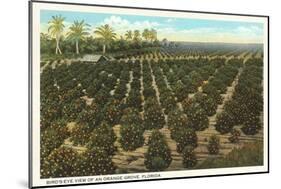 Orange Grove, Florida-null-Mounted Art Print