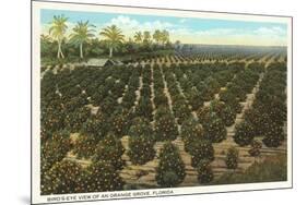 Orange Grove, Florida-null-Mounted Premium Giclee Print