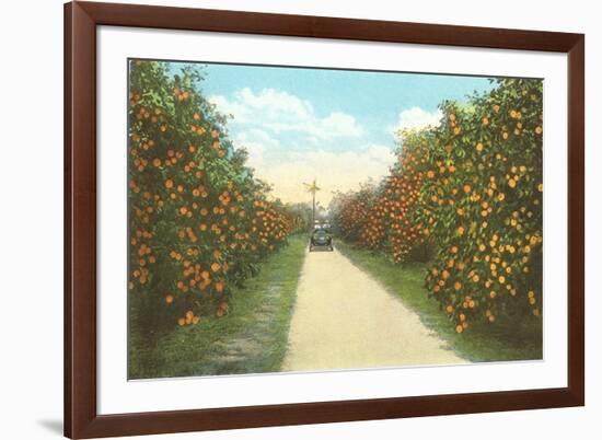 Orange Grove, Florida-null-Framed Art Print