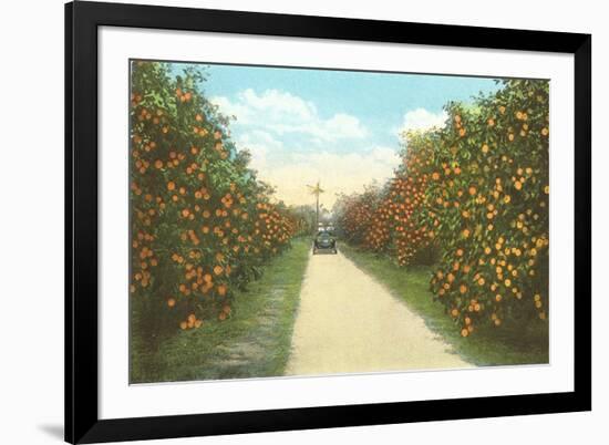 Orange Grove, Florida-null-Framed Art Print