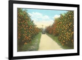 Orange Grove, Florida-null-Framed Art Print