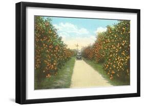 Orange Grove, Florida-null-Framed Art Print