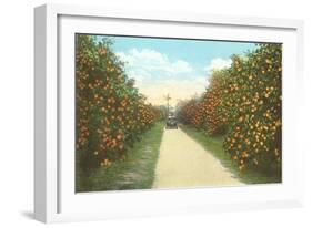 Orange Grove, Florida-null-Framed Art Print