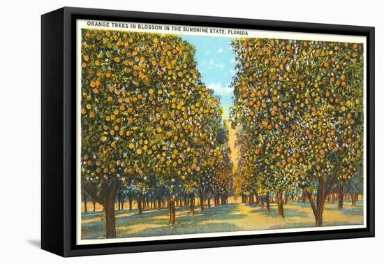 Orange Grove, Florida-null-Framed Stretched Canvas