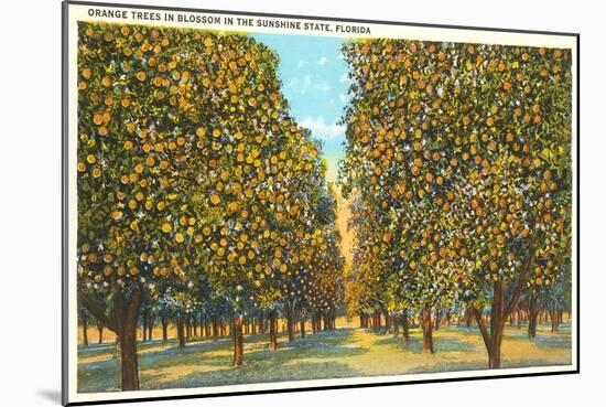 Orange Grove, Florida-null-Mounted Art Print