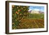 Orange Grove, Santa Clarita, California-null-Framed Art Print