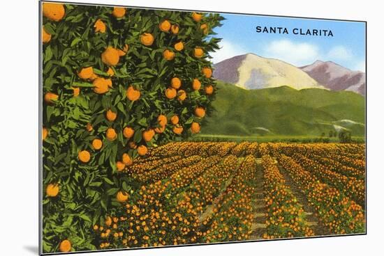 Orange Grove, Santa Clarita, California-null-Mounted Art Print