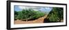 Orange Grove-null-Framed Photographic Print