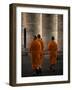 Orange Guests-Fulvio Pellegrini-Framed Photographic Print