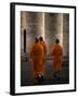 Orange Guests-Fulvio Pellegrini-Framed Photographic Print