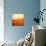 Orange Happiness-Dawn D^ Hanna-Photographic Print displayed on a wall
