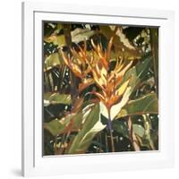 Orange Heleconia-Darrell Hill-Framed Giclee Print